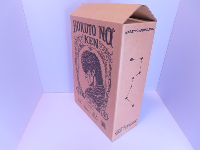 ���� MAESTRO UNION 1/10 �k�l�̌� �P���V���E