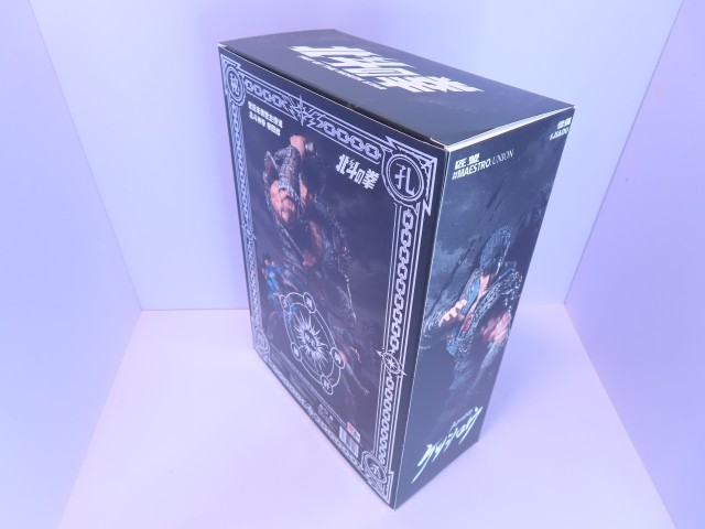 ���� MAESTRO UNION 1/10 �k�l�̌� �P���V���E