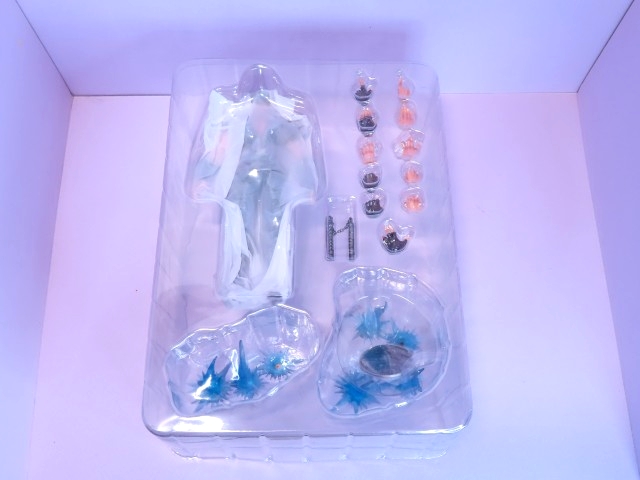 ���� MAESTRO UNION 1/10 �k�l�̌� �P���V���E